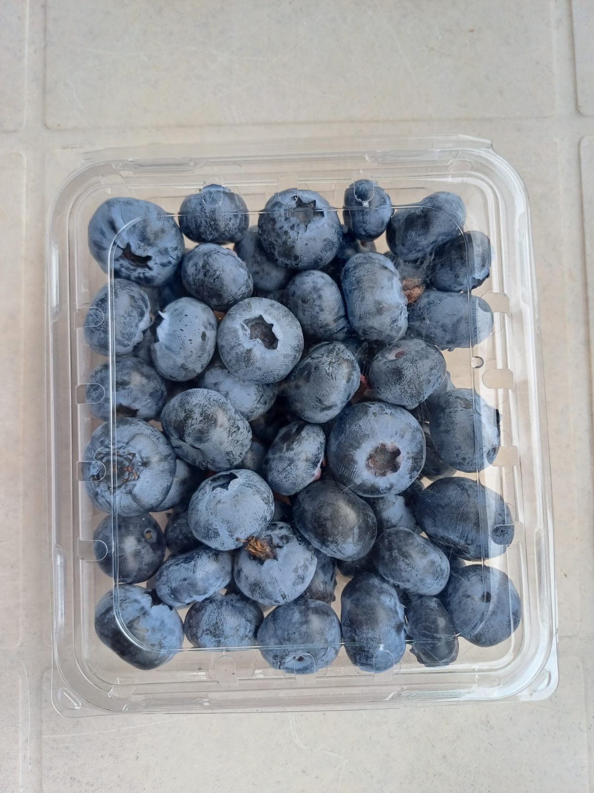Packed blueberry punnet graded for retail ready for dispatch