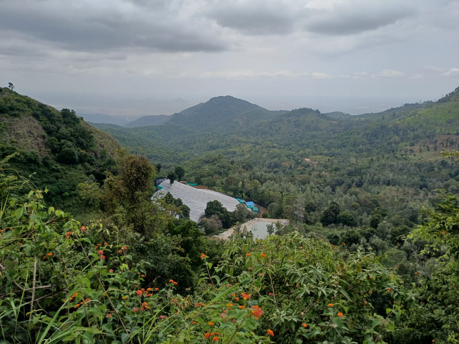Terraced agricultural landscape and hillside tree lines across Berry Rock Estates