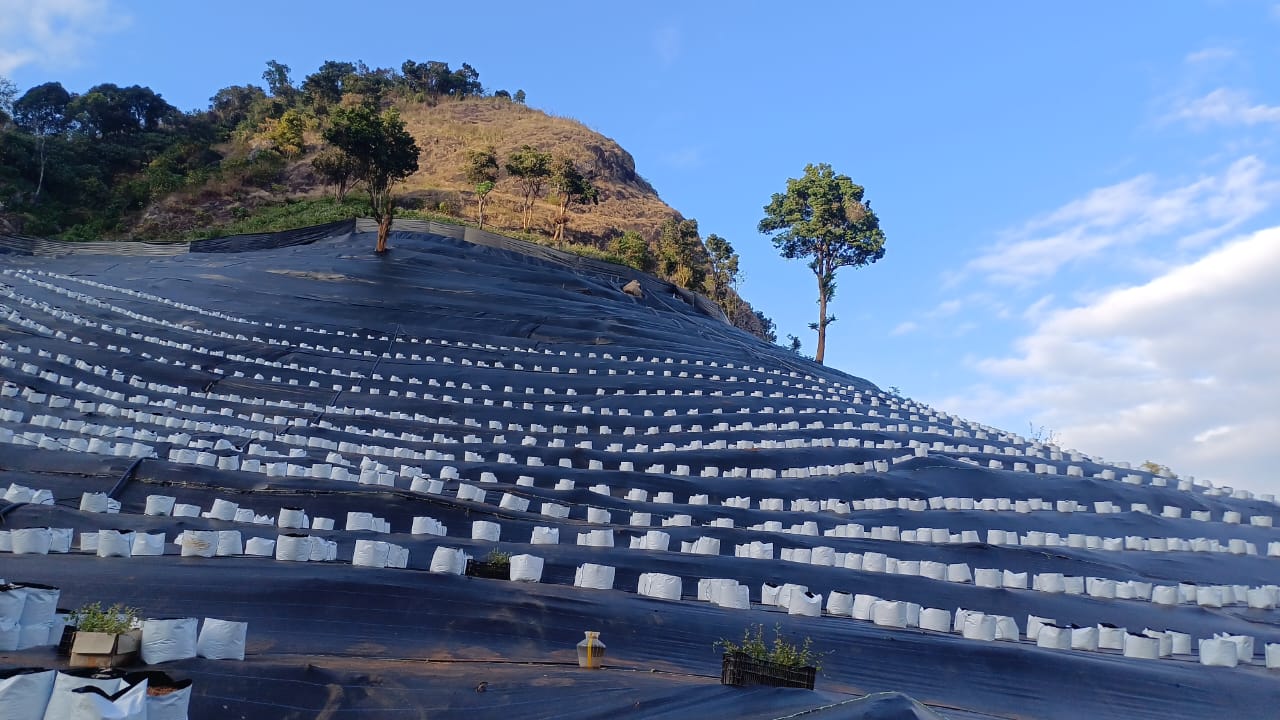 Grow bags and weed-barrier fabric arranged on a steep hillside during site preparation
